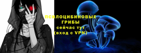 ALPHA PVP Гусь-Хрустальный