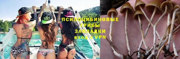 Альфа ПВП Гусиноозёрск