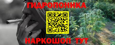 ешки Волжск