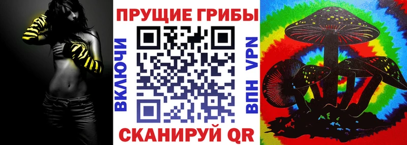 Псилоцибиновые грибы Psilocybine cubensis  где купить   Назрань 