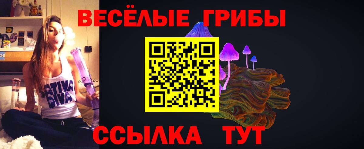 Псилоцибиновые грибы MAGIC MUSHROOMS  Галлюциногенные грибы ЛСД  Вход с VPN  Назрань 